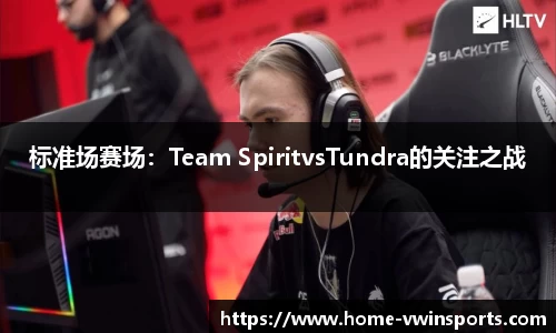 标准场赛场：Team SpiritvsTundra的关注之战